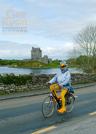 The Cuckoo at Dunguaire Castle